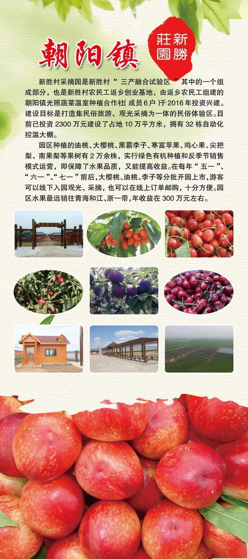 趕大集嘍！輝南鄉(xiāng)鎮(zhèn)特色農(nóng)產(chǎn)品進(jìn)縣城，助力鄉(xiāng)村振興