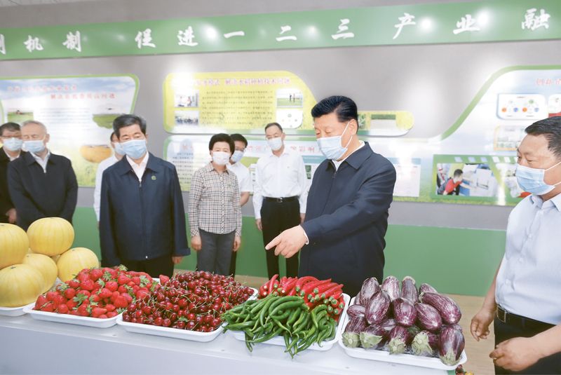 不斷開拓當代中國馬克思主義政治經濟學新境界——以初級農產品為視角的實踐與探索