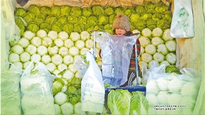 囤菜輕量化，儀式不打折 京城各大商超迎來冬儲菜季新氣象
