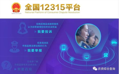 軟件技術(shù)賦能 我國(guó)鄉(xiāng)村產(chǎn)業(yè)未來發(fā)展的新引擎